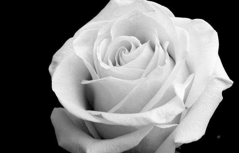 „85 Jahre Reichspogromnacht – Gedenken an die Familie Ringer und allen Opfern des Holocausts“